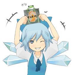  blue_eyes blue_hair bow cirno fairy_wings female frog hair_ornament mountain_of_faith one_eye_closed ribbon short_hair silhouette smile solo teeth torque touhou wings yasaka_kanako 