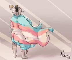  6:5 abstract_background ambiguous_gender atiz atiz_(character) flag grey_hair hair hi_res lgbt_pride lgbt_pride_month mammal murid murine nude pride_color_flag pride_colors rat rodent solo trans_(lore) trans_woman_(lore) transgender_pride_colors wearing_flag 