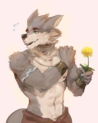  anthro armband athletic athletic_anthro athletic_male body_hair bunsfw canid canine canis claws clothed clothing dandelion fangs far_beyond_the_world_(series) flower fur green_eyes hand_on_shoulder happy_trail hi_res holding_flower holding_object male mammal multicolored_body multicolored_fur navel neck_tuft nipples plant pubes ranok_(far_beyond_the_world) solo teeth topless tuft two_tone_body two_tone_fur wolf 