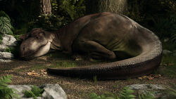  16:9 2022 3d_(artwork) 4k absurd_res albertosaurus ambiguous_gender brown_body brown_scales claws closed_eyes detailed_background digital_media_(artwork) dinosaur extinct feral grass hi_res ivorylagiacrus lying on_ground outside plant prehistoric_species reptile scales scalie sharp_teeth sleeping solo teeth theropod toe_claws tree tyrannosaurid tyrannosauroid widescreen 