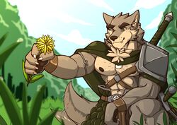  abs absurd_res anthro armband blurred_background blush body_hair brown_body brown_fur canid canine canis cape cheek_tuft chest_tuft claws clothed clothing dandelion facial_tuft fangs far_beyond_the_world_(series) flower forest forest_background fur green_eyes happy_trail hi_res holding_flower holding_object jewelry male mammal melee_weapon multicolored_body multicolored_fur muscular muscular_anthro muscular_male nackzek nature nature_background neck_tuft nipples pendant plant pubes ranok_(far_beyond_the_world) shoulder_guards smile solo sword tail tail_motion tailwag teeth toothy_smile tree tuft two_tone_body two_tone_fur weapon wolf 