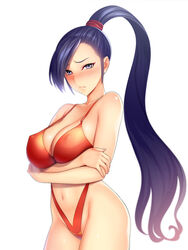  bad_id bad_pixiv_id bare_shoulders bikini blush breasts cleavage commentary_request dragon_quest dragon_quest_xi female high_ponytail highleg highleg_bikini highres hip_focus large_breasts lips long_hair martina_(dq11) navel purple_eyes purple_hair revealing_swimsuit_(dq) solo swimsuit thighs very_long_hair yuzuriha_(active_homing) 