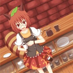  animal_ears bottle brown_eyes brown_hair commentary_request dress female futatsuiwa_mamizou glasses kokubun_(akikawaship) leaf leaf_on_head oerba_yun_fang pince-nez raccoon_ears raccoon_tail smile solo tail touhou 