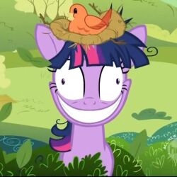  1:1 avian bird bush_(disambiguation) cuculiform derp_eyes equid equine female friendship_is_magic hair hasbro horn horse leaf mammal manic_smile mental_breakdown molestia_face multicolored_hair my_little_pony mythological_creature mythological_equine mythology nest pony pupils purple_body small_pupils twilight_sparkle_(mlp) unicorn 