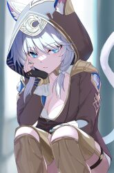  absurdres anima_miko animal_ear_fluff animal_ears animal_hood black_gloves blue_eyes breasts cat_ears cat_hood cat_tail cipher_(honkai:_star_rail) cleavage closed_mouth commentary_request female fingerless_gloves gloves grey_hair highres honkai:_star_rail honkai_(series) hood medium_breasts medium_hair solo squatting tail 