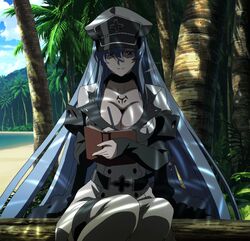  akame_ga_kill! blue_eyes blue_hair book breasts esdeath esdese female hat highres large_breasts long_hair sitting smile solo square_enix stitched uniform writing 