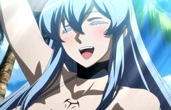  akame_ga_kill! blue_hair closed_eyes esdeath esdese female happy highres long_hair smile square_enix stitched 