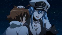  1boy akame_ga_kill! animated animated brown_hair closed_eyes esdeath esdese female long_hair smile square_enix standing tatsumi_(akame_ga_kill!) 