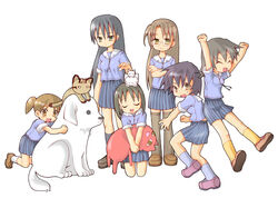  6+girls artist_request azumanga_daioh&#039;s_school_uniform azumanga_daiou blue_serafuku blue_shirt brown_hair canine everyone feline iriomote_cat kagura_(azumanga_daioh) kasuga_ayumu kneeling long_hair mayaa_(azumanga_daioh) mihama_chiyo mihama_chiyo&#039;s_father mizuhara_koyomi multiple_girls nekokoneko sakaki_(azumanga_daioh) school_uniform serafuku shirt short_twintails skirt standing summer_uniform tadakichi-san takino_tomo thighhighs twintails white_background yamamaya 