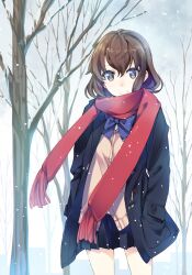  bad_id bad_pixiv_id bow brown_eyes brown_hair cardigan coat commentary_request day female hands_in_pockets inato_serere looking_at_viewer nature original outdoors photoshop_(medium) pleated_skirt red_scarf scarf school_uniform short_hair skirt sky smile snow snowing solo sweater_vest 