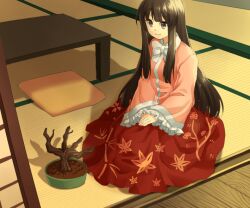  bad_id bad_pixiv_id black_hair bonsai female grey_eyes houraisan_kaguya jenevan leaf long_hair long_skirt pillow sitting skirt sleeves_past_wrists smile solo table tatami touhou 