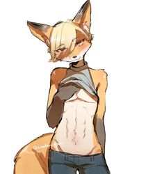  abs alternate_version_at_source anthro better_version_at_source blonde_hair blush bottomwear canid canine clothed clothing clothing_lift crotch_lines denim denim_bottomwear denim_clothing fox fox&#039;s_brother_(kinokoningen) fur hair hair_over_eye hi_res inner_ear_fluff jeans kemono kinokoningen looking_at_viewer low-riding male mammal midriff one_eye_obstructed orange_body orange_fur pants rule_63 shirt shirt_lift short_hair simple_background smile solo topwear tuft white_background white_body white_fur 