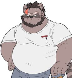  2022 anthro beard belly big_belly black_nose brown_body canid canine clothing facial_hair hi_res humanoid_hands kemono male mammal overweight overweight_male raccoon_dog shirt simple_background solo tanuki topwear white_background whitebeast20 