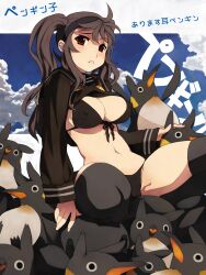  :&lt; animal bikini bird black_bikini black_hair black_thighhighs blue_sky blush breasts brown_hair caee_penguin cameltoe cleavage clothes_lift cloud commentary_request covered_nipples day female fingernails front-tie_top highres long_hair looking_at_viewer medium_breasts navel no_pants original parted_lips penguin photoshop_(medium) red_eyes school_uniform serafuku shirt_lift sitting sky solo swimsuit thighhighs twintails 