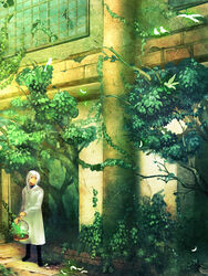  bird birdcage braid cage commentary_request feathers female gimei green_eyes green_theme nature original outdoors overgrown pillar raincoat scenery solo tree white_hair 