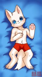  anthro arctic_fox blue_eyes boxers_(clothing) boxers_only canid canine canis chinese_text clothed clothing fox heterochromia jinxi_frauder laid_down male mammal navel pawpads pink_pawpads red_boxers red_clothing red_underwear simple_background simple_coloring solo text topless true_fox underwear underwear_only white_body 