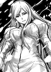  anastasia_romanov breasts dress drifters female large_breasts long_hair monochrome snow 