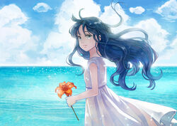  blue_eyes blue_hair cloud commentary day dress female flower long_hair ocean original outdoors photoshop_(medium) sky solo wooga 