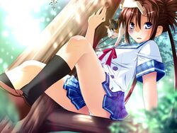  blue_eyes blush brown_hair chu_x_chu_idol feline female game_cg in_tree kneehighs long_hair nakauchi_chiyu ozawa_akifumi panties pantyshot plaid school_uniform sitting sitting_in_tree skirt socks solo tree twintails underwear very_long_hair white_panties 