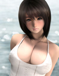  3d bad_id bad_pixiv_id breasts brown_eyes brown_hair cleavage female hinemaru large_breasts long_hair original solo 