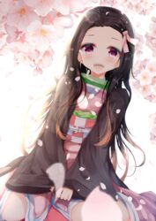  :d aties20 bamboo bit_gag black_hair blurry blurry_foreground blush brown_hair checkered_sash cherry_blossoms commentary_request depth_of_field dutch_angle fangs female flower forehead gag gag_around_neck gradient_hair hair_ribbon japanese_clothes kamado_nezuko kimetsu_no_yaiba kimono long_hair long_sleeves looking_at_viewer multicolored_hair obi open_clothes open_mouth parted_bangs petals pink_kimono pink_ribbon purple_eyes ribbon sash sleeves_past_wrists smile solo unworn_gag very_long_hair white_flower wide_sleeves 