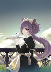  apron black_dress bow bowtie braid breasts cloud cloudy_sky commentary double_bun dress feline female fence from_side genshin_impact grass hair_bun half-closed_eyes highres keqing_(genshin_impact) light_smile long_sleeves maid maid_apron medium_breasts outdoors plate puffy_long_sleeves puffy_sleeves purple_eyes purple_hair qingye_ling sky tray twintails 