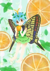  absurdres animal_background antennae aqua_hair barefoot bug butterfly butterfly_background butterfly_wings dress eternity_larva fairy female food fruit fruit_background full_body green_dress hair_between_eyes highres holding holding_food holding_fruit insect_wings leaf leaf_on_head multicolored_clothes multicolored_dress no_lineart open_mouth orange_(fruit) orange_eyes short_hair short_sleeves solo takano48 touhou wings 