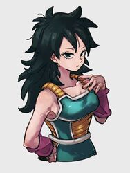  arm_warmers armor black_eyes black_hair breasts commentary_request dragon_ball dragon_ball_super female gine grey_background hand_on_own_hip kemachiku looking_at_viewer medium_breasts saiyan simple_background solo 