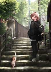  animal backpack bag black_hoodie black_pants blush brown_hair building casual closed_mouth commentary_request day feline female flower full_body fuu_(fuore) grey_footwear hair_ornament hairclip hands_in_pockets highres higuchi_madoka hood hood_down hoodie idolmaster idolmaster_shiny_colors long_sleeves looking_back looking_down mole mole_under_eye outdoors pants purple_eyes railing short_hair solo stairs stone_stairs tree walking white_flower 