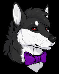  4:5 black_body black_fur bow_tie canid canine canis clyde_wolf digital_media_(artwork) domestic_dog feral fur hair headshot_portrait hi_res husky male mammal nordic_sled_dog portrait red_eyes shadow_the_husky simple_background solo spitz white_body white_fur 