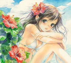  bikini blush brown_eyes brown_hair cloud commentary_request crossed_arms day female flower front-tie_top hair_flower hair_ornament hibiscus long_hair looking_at_viewer original parted_lips sitting sky solo swimsuit toyoda_izumi traditional_media water wind 