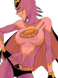  13hbcop belt cape clothes_writing commentary_request female genderswap_(mtf) grin hand_on_own_hip kaburagi_t._kotetsu profile rule_63 smile solo spandex superhero_costume tiger_&amp;_bunny wild_tiger 