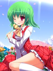  ascot breasts commentary_request dress_shirt female field flower flower_field green_hair highres kazami_yuuka kneehighs legs liya medium_breasts nature one_eye_closed photoshop_(medium) red_eyes shirt short_hair sitting socks solo touhou vest white_socks 