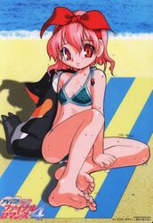  akatsuki_gomoku barefoot beach beach_towel bikini bird blanket blue_bikini bow bow_hairband company_name copyright_name covered_nipples dated day dripping feet female final_romance_4 full_body hairband halterneck headband light_smile logo looking_at_viewer non-web_source ocean official_art outdoors penguin pink_hair red_eyes red_hairband sand short_hair signature sitting smile soles solo summer swimsuit takamine_momo toes towel translation_request water wet wet_hair 