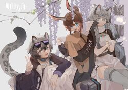  3girls absurdres amiya_(arknights) animal_ears arknights black_collar black_jacket blue_eyes braid brown_hair cliffheart_(arknights) clothes_writing collar cup dress eyewear_on_head grey_background grey_eyes grey_thighhighs hair_between_eyes hand_up highres holding holding_cup indoors jacket jewelry long_hair long_sleeves multiple_girls necklace open_clothes open_jacket open_mouth ponytail pramanix_(arknights) purple_jacket rabbit_ears rabbit_girl short_hair siblings side_braids sidelocks simple_background sisters sitting snow_leopard_ears snow_leopard_girl snow_leopard_tail sunglasses tail thighhighs tiara turtleneck v white_dress yumingtongxue 