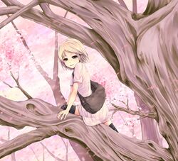  anemos bag blonde_hair branch cherry_blossoms commentary_request dress female green_eyes highres original short_hair solo thighhighs tree zettai_ryouiki 