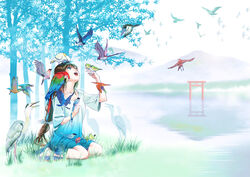  animal animal_on_shoulder barefoot bird bird_on_hand bird_on_leg bird_on_shoulder bird_request blue-and-white_flycatcher blue_eyes braid brown_hair cockatoo commentary_request common_kingfisher dress female flycatcher_(animal) fukuoka_asahi grey_heron hair_ribbon heron japanese_white-eye kingfisher lake long_hair looking_up low-tied_long_hair macaw nature open_mouth original outdoors parrot red-and-green_macaw reflection reflective_water ribbon ryukyu_minivet single_braid sitting solo sulphur-crested_cockatoo torii tree water 