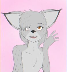  anthro chromatic_aberration fangs felid feline femboy fur gesture grey_body grey_fur hair hair_over_eye happy hi_res lynx male mammal one_eye_obstructed open_mouth pink_background qunteki simple_background smile solo teeth unknown_artist waving 