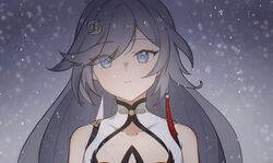  bare_shoulders black_hair blue_eyes china_dress chinese_clothes closed_mouth dress earrings female fu_hua fu_hua_(azure_empyrea) hair_ornament highres honkai_(series) honkai_impact_3rd jewelry long_hair looking_at_viewer outdoors ponytail qian_xii single_earring sleeveless sleeveless_dress snow snowing solo white_dress 