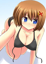  bikini black_bikini blue_eyes breasts brown_hair cleavage commentary_request female hair_ornament large_breasts lask lyrical_nanoha mahou_shoujo_lyrical_nanoha_strikers short_hair solo swimsuit x_hair_ornament yagami_hayate 