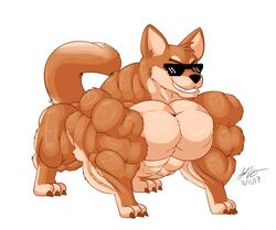  biceps big_muscles canid canine canis claws d12_izoroark deal_with_it domestic_dog eyewear feral fur glasses huge_muscles male mammal meme muscular muscular_feral muscular_male nude pecs rags_(youtuber) shiba_inu simple_background smile solo spitz standing teeth white_background youtuber 