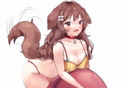  animal_ears anyuu ball bone_hair_ornament bra breasts brown_eyes brown_hair cleavage collar commentary dog_ears dog_girl dog_tail exercise_ball female floppy_ears hair_ornament hololive inugami_korone large_breasts leaning_on_ball long_hair looking_at_viewer oerba_yun_fang open_mouth red_collar simple_background skin_fang solo swimsuit tail tail_wagging underwear virtual_youtuber white_background yellow_bra 