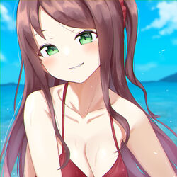  absurdres akabane_youko bare_shoulders bikini blurry blurry_background breasts brown_hair cleavage collarbone commentary_request depth_of_field fang_out female green_eyes hair_ornament hair_scrunchie head_tilt highres long_hair looking_at_viewer medium_breasts nijisanji oerba_yun_fang one_side_up parted_lips red_bikini red_scrunchie scrunchie smile solo swept_bangs swimsuit upper_body very_long_hair virtual_youtuber water yotsugi 