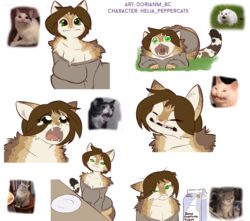  2019 alpha_channel anthro breasts brown_body brown_fur brown_hair clothed clothing crying_cat digital_media_(artwork) domestic_cat dorian-bc felid feline felis female fur green_eyes hair helia_peppercats hi_res humor looking_at_viewer mammal meme polite_cat sweater topwear white_body white_fur 