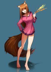  animal_ears artist_name bare_legs barefoot blue_background blunt_bangs breasts brown_hair collarbone commentary fangs female full_body hand_on_own_hip highres holo kuno_(runkunochan) legs long_hair long_legs long_sleeves looking_at_viewer no_pants open_mouth orange_eyes pink_shirt red_eyes reflection reflective_floor shadow sheaf shirt sidelocks simple_background solo spice_and_wolf tail toes wheat wolf_ears wolf_girl wolf_tail 