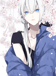  black_shirt blue_coat blue_eyes blurry blurry_background cherry_blossoms coat collarbone commentary_request falling_petals female fur-trimmed_coat fur_trim hair_ornament hair_scrunchie highres long_hair looking_at_viewer original padded_coat petals scrunchie shirt short_sleeves smile solo upper_body white_hair yagi_(shiro_yagi) 