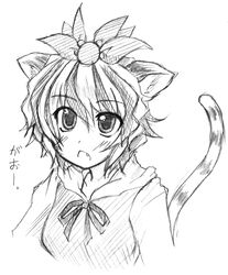  animal_ears bad_id bad_pixiv_id cat_ears eku female greyscale monochrome multicolored_hair oerba_yun_fang ribbon solo tail toramaru_shou touhou two-tone_hair 