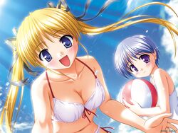  2girls :d ball beach beachball bekkankou bikini black_ribbon blonde_hair blue_eyes blue_hair blue_sky blush breasts cleavage closed_mouth cloud collarbone company_name dated day dutch_angle flat_chest floating_hair from_side front-tie_bikini_top front-tie_top hair_ribbon happy highres holding holding_ball holding_beachball leaning_forward light_rays light_smile long_hair looking_at_viewer medium_breasts multiple_girls navel official_art official_wallpaper one-piece_swimsuit open_mouth outdoors purple_eyes reaching reaching_towards_viewer ribbon shibugaki_matsuri side-tie_bikini_bottom sky smile sparkle straight_hair sunbeam sunlight swimsuit tachibana_chihiro tsuki_wa_higashi_ni_hi_wa_nishi_ni twintails upper_body very_long_hair water water_drop white_bikini white_one-piece_swimsuit 