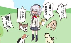  beret black_hat buttons canine closed_eyes crying epaulettes female frilled_sleeves frills grey_hair grey_skirt hat highres jacket kantai_collection kashima_(kancolle) long_sleeves military military_jacket military_uniform multiple_dogs neckerchief pleated_skirt red_neckerchief shouhou-san_daisuki_teitoku sidelocks skirt solo standing tears too_many too_many_dogs translated twintails uniform wavy_hair white_jacket 