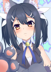  animal_ear_fluff animal_ears animal_hands bare_shoulders bell black_hair blue_background blue_ribbon blush breasts brown_eyes cat_ears closed_mouth detached_collar diesirea fate/kaleid_liner_prisma_illya fate_(series) feather_hair_ornament feathers female gloves grey_vest hair_ornament hairclip highres jingle_bell long_hair looking_at_viewer miyu_edelfelt miyu_edelfelt_(beast_style) paw_gloves ribbon small_breasts starry_background twintails vest 